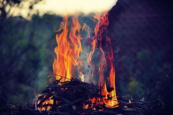 the bright flames - Free image #304735